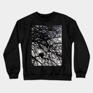 Winter Branches Crewneck Sweatshirt